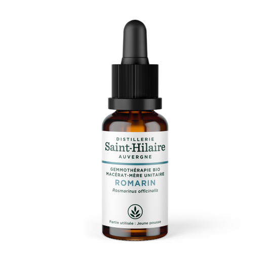 Macérat de romarin bio - 1